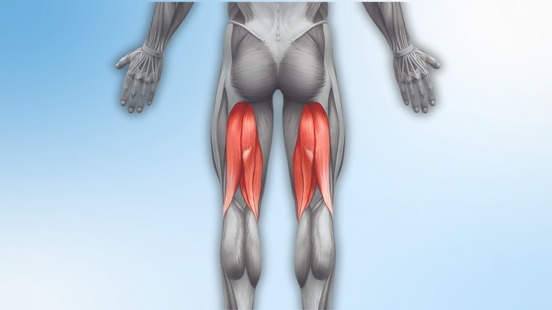 Severity of Hamstring Injuries